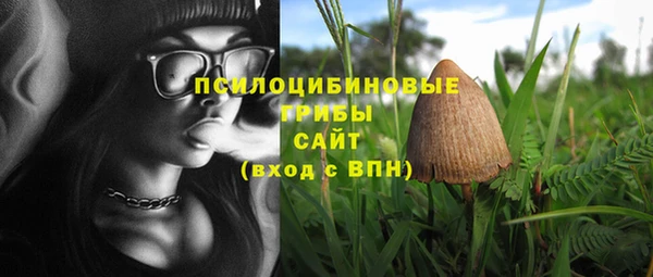 spice Анжеро-Судженск