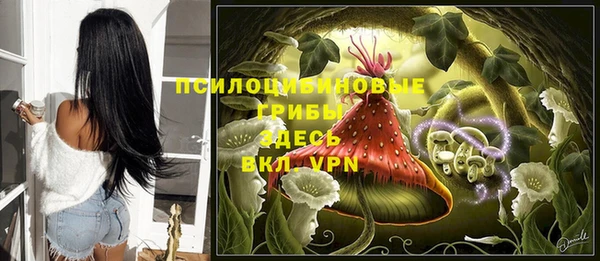 дурь Нефтекумск