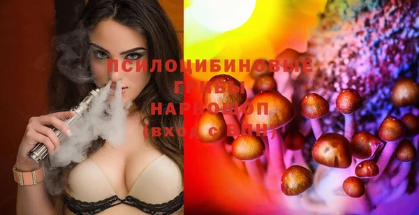 гидропоника Надым
