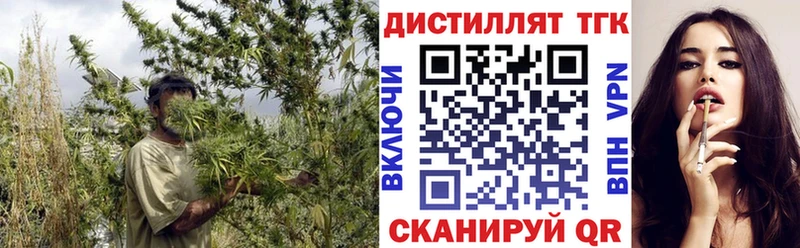 блэк спрут как войти  Починок  Дистиллят ТГК гашишное масло 
