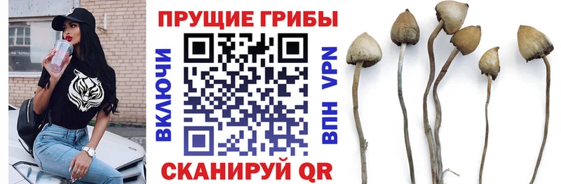 Галлюциногенные грибы Magic Shrooms где продают Починок